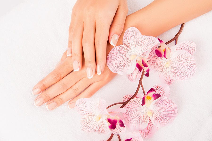 Gepflegte Hand mit Orchidee Gepflegte Hand mit Orchidee